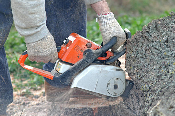 Best Utility Line Clearance  in Fairmead, CA